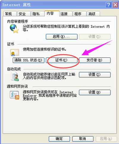 网站 网站