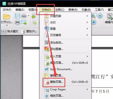 pdf文件 pdf文件