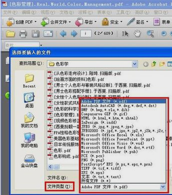 PDF文件 PDF文件