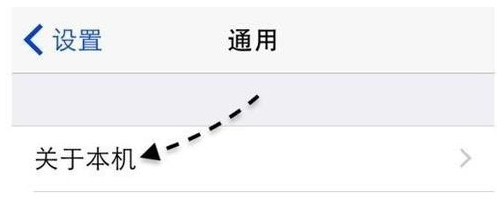 苹果 苹果