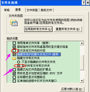 文件 文件
