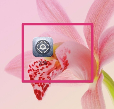 1612330831268001.png image.png