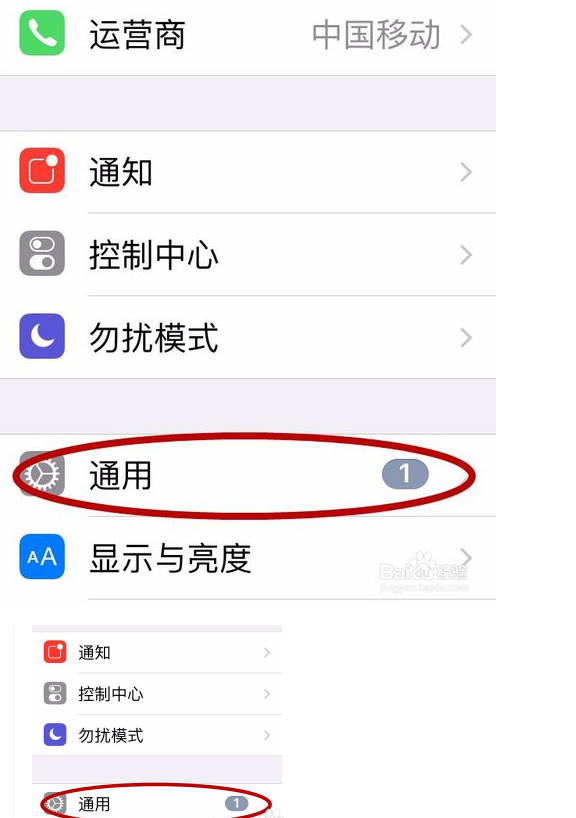 查询 查询